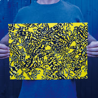 Image 1 of Poison Arrow Frog