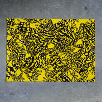 Image 3 of Poison Arrow Frog