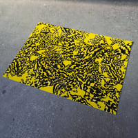 Image 2 of Poison Arrow Frog