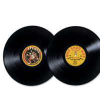 Image 5 of ITCHES - "HOUSE ANIMAL INCLUDED" LP