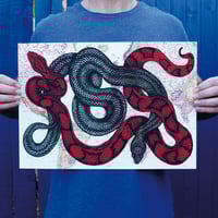 Image 1 of Poison Suitcase