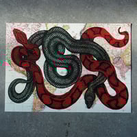 Image 2 of Poison Suitcase