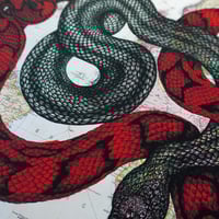 Image 3 of Poison Suitcase