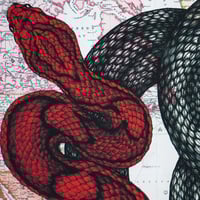 Image 4 of Poison Suitcase