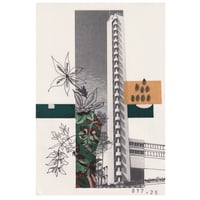 Image 1 of Querían llegar alto, más alto, sin saber que el paraíso florecía a sus pies.