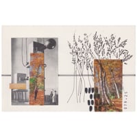 Image 1 of No ven lo mismo aún mirando hacia un mismo punto.