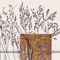 Image 2 of No ven lo mismo aún mirando hacia un mismo punto.