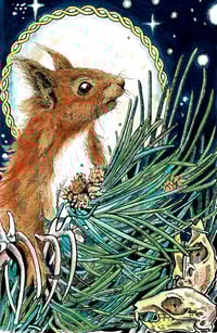 Image 1 of Iora Rua- Red squirrell in the Twilight
