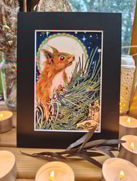 Image 2 of Iora Rua- Red squirrell in the Twilight