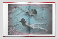 Image 3 of Album - Eloïse Labarbe-Lafon