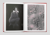 Image 6 of Album - Eloïse Labarbe-Lafon