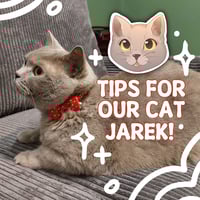Tips for Jarek!