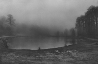 Image 6 of Wild Rose - Gabrielle Duplantier