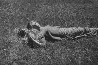 Image 3 of Wild Rose - Gabrielle Duplantier