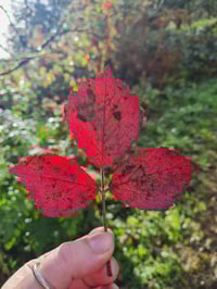 Lucky Dip *surprise* grab bags!!!