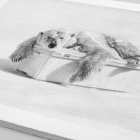 Image 2 of Cooler Age - Main Edition