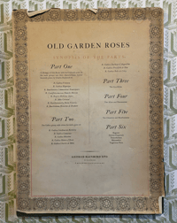Image 8 of Old Garden Roses by Sacheverell Sitwell 