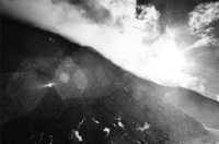 Image 2 of Fièvre - Lorenzo Castore