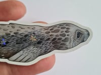 Image 2 of Driftwood Selkie - glitter sticker