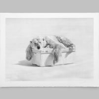 Image 1 of Cooler Age - Main Edition