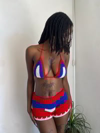 Image 3 of Haitian Flag Beach Shorts