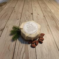 Hot Chocolate Shampoo Bar