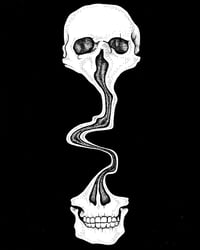 Image 1 of Skully 2024