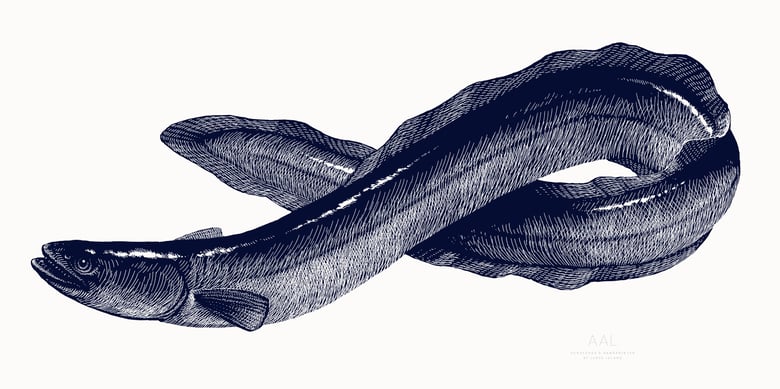 Image of »Aal« Screen Print