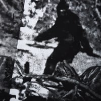 Image 3 of BIGFOOT