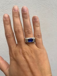 Image 1 of Siggy Blue