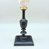 Image 8 of Coquillage Murex sur socle en bois tourné noirci Napoléon III fin XIXe -  Cabinet de curiosités 