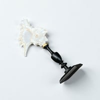 Image 7 of Coquillage Murex sur socle en bois tourné noirci Napoléon III fin XIXe -  Cabinet de curiosités 