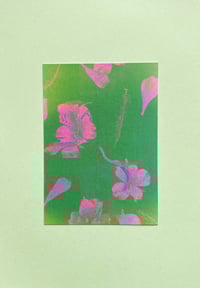 Image 1 of flowers for you •• Postkarte