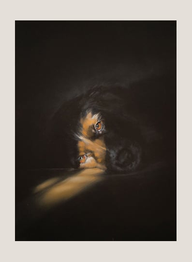 Image of “ sunny eyes “