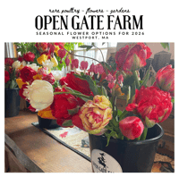 Image 3 of STEMS AT SUNSET - FLORAL WORKSHOP TICKETS