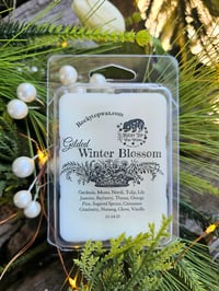 Image 1 of Gilded Winter Blossom- A Rockytop Wax Works exclusive custom houseblend fragrance 