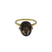 Image 1 of Pure Anello