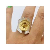 Image 2 of Ablate Anello