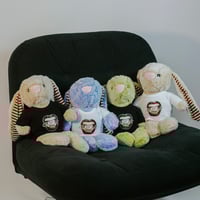 Emotional Support Bunny