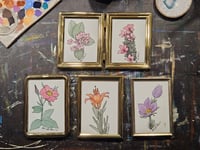 Image 1 of Original Paintings - Assorted Flowers