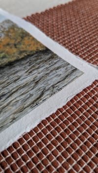 Image 3 of Autumn iv