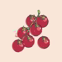 Image 3 of Adesivo Pomodori Ciliegino