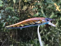 Image 3 of Custom Airbrushed Jerkbait TA 110 8674