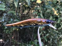 Image 2 of Custom Airbrushed Jerkbait TA 110 8674