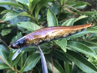 Image 6 of Custom Airbrushed Jerkbait TA 110 8674