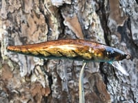 Image 11 of Custom Airbrushed Jerkbait TA 110 8674
