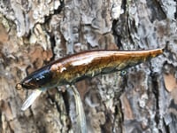 Image 13 of Custom Airbrushed Jerkbait TA 110 8674