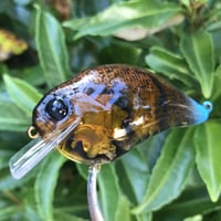 Image 1 of Custom Airbrushed S-CRANK 1.5 Squarebill Crankbait  8959