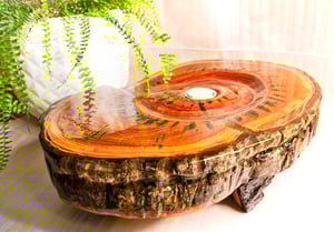 Image of La parada del Tiempo.