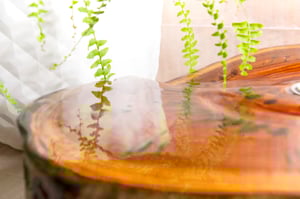 Image of La parada del Tiempo.